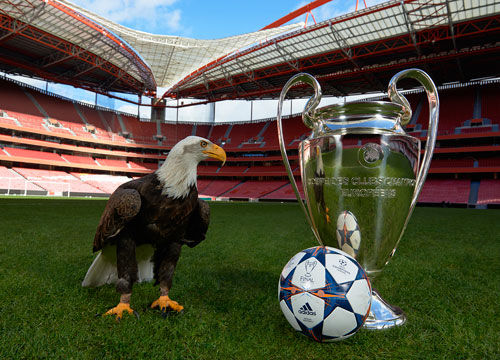 分区系列赛 分区系列赛